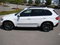 Alpine White - X5 3.0si Photo No. 37