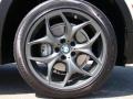 Alpine White - X5 3.0si Photo No. 60