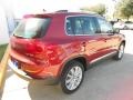 Wild Cherry Metallic - Tiguan SE Photo No. 7