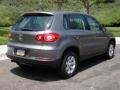 Alpine Grey Metallic - Tiguan S Photo No. 20