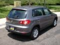 Alpine Grey Metallic - Tiguan S Photo No. 22