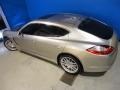 Platinum Silver Metallic - Panamera 4S Photo No. 27
