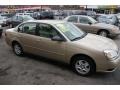 2004 Light Driftwood Metallic Chevrolet Malibu LS V6 Sedan  photo #3