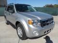 2012 Ingot Silver Metallic Ford Escape XLT V6  photo #1