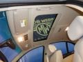 Neptune Blue Metallic - 5 Series 535xi Sedan Photo No. 11