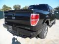 Tuxedo Black Metallic 2012 Ford F150 XLT SuperCrew Exterior