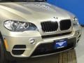 2011 Platinum Bronze Metallic BMW X5 xDrive 35i  photo #23