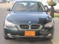 Deep Green Metallic - 5 Series 528xi Sedan Photo No. 10