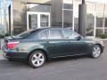 Deep Green Metallic - 5 Series 528xi Sedan Photo No. 14