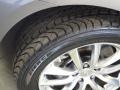 Platinum Graphite - G 37 x Sedan Photo No. 26
