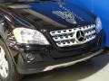 Black - ML 350 4Matic Photo No. 22