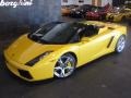 Giallo Midas (Pearl Yellow) 2007 Lamborghini Gallardo Spyder Exterior