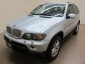 Titanium Silver Metallic - X5 3.0i Photo No. 4