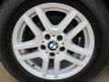 Titanium Silver Metallic - X5 3.0i Photo No. 16