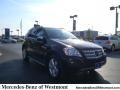 Black - ML 350 4Matic Photo No. 1