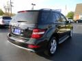 Black - ML 350 4Matic Photo No. 2
