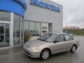 Titanium Metallic - Civic LX Sedan Photo No. 1