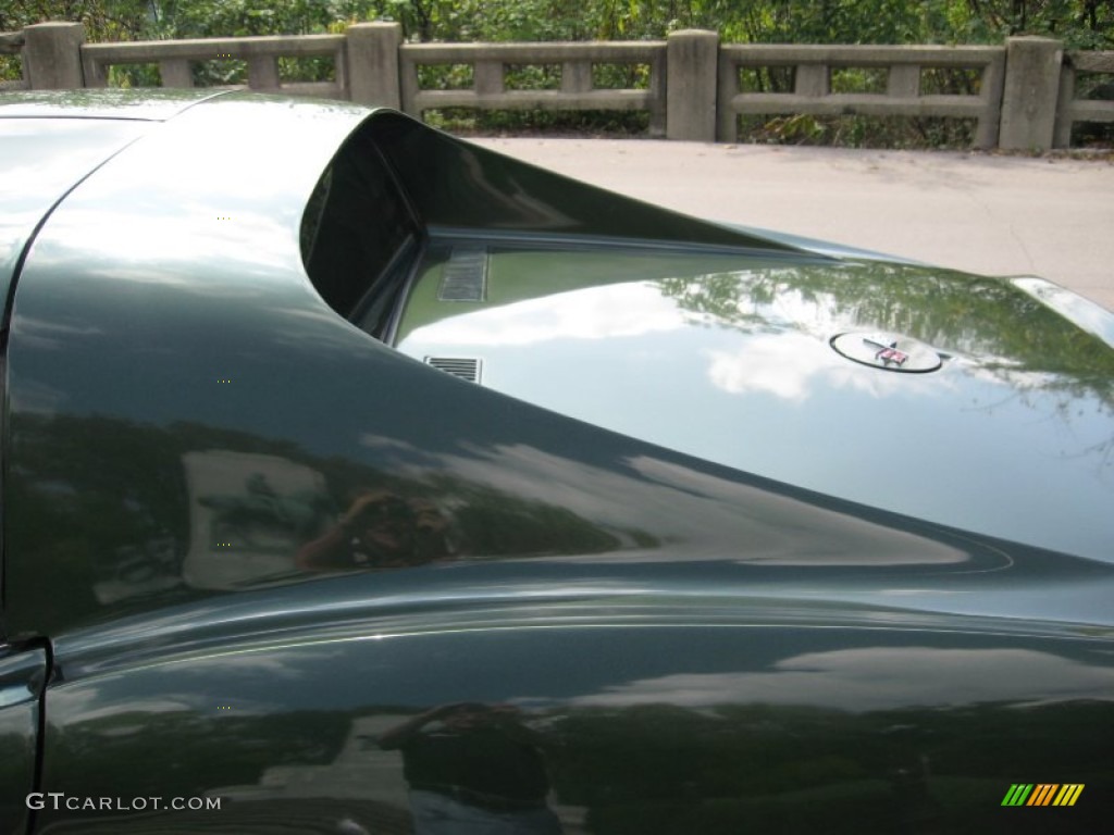 1969 Corvette Coupe - Fathom Green / Black photo #18
