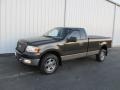 Dark Stone Metallic - F150 XLT Regular Cab 4x4 Photo No. 1