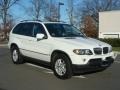 Alpine White - X5 3.0i Photo No. 1