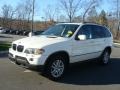 Alpine White - X5 3.0i Photo No. 3