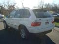 Alpine White - X5 3.0i Photo No. 5