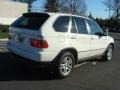 Alpine White - X5 3.0i Photo No. 7