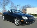 Black - SLK 320 Roadster Photo No. 1