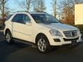 Arctic White - ML 350 4Matic Photo No. 1