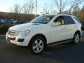 Arctic White - ML 350 4Matic Photo No. 3