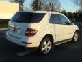 Arctic White - ML 350 4Matic Photo No. 6