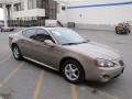 2007 Bronzestone Metallic Pontiac Grand Prix Sedan  photo #28