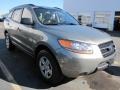 Natural Khaki - Santa Fe GLS Photo No. 4