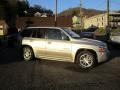 Liquid Silver Metallic 2008 GMC Envoy Denali 4x4