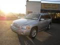 Liquid Silver Metallic - Envoy Denali 4x4 Photo No. 4