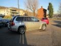 Liquid Silver Metallic - Envoy Denali 4x4 Photo No. 8