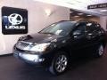 Smokey Granite - RX 350 AWD Photo No. 3