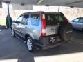 Silver Moss Metallic - CR-V EX 4WD Photo No. 2