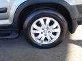 Silver Moss Metallic - CR-V EX 4WD Photo No. 11