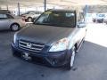 Silver Moss Metallic - CR-V EX 4WD Photo No. 27