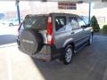 Silver Moss Metallic - CR-V EX 4WD Photo No. 30