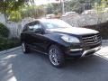Black - ML 350 4Matic Photo No. 1