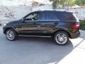 Black - ML 350 4Matic Photo No. 6