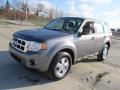 2009 Sterling Grey Metallic Ford Escape XLS  photo #6