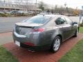 Polished Metal Metallic - TL 3.5 Technology Photo No. 5