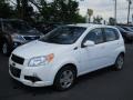 Summit White 2009 Chevrolet Aveo Aveo5 LS