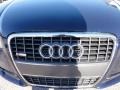 Moro Blue Pearl Effect - A4 2.0T Cabriolet Photo No. 28