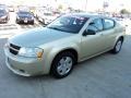 White Gold - Avenger SXT Photo No. 1