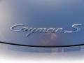 2009 Porsche Cayman S Marks and Logos
