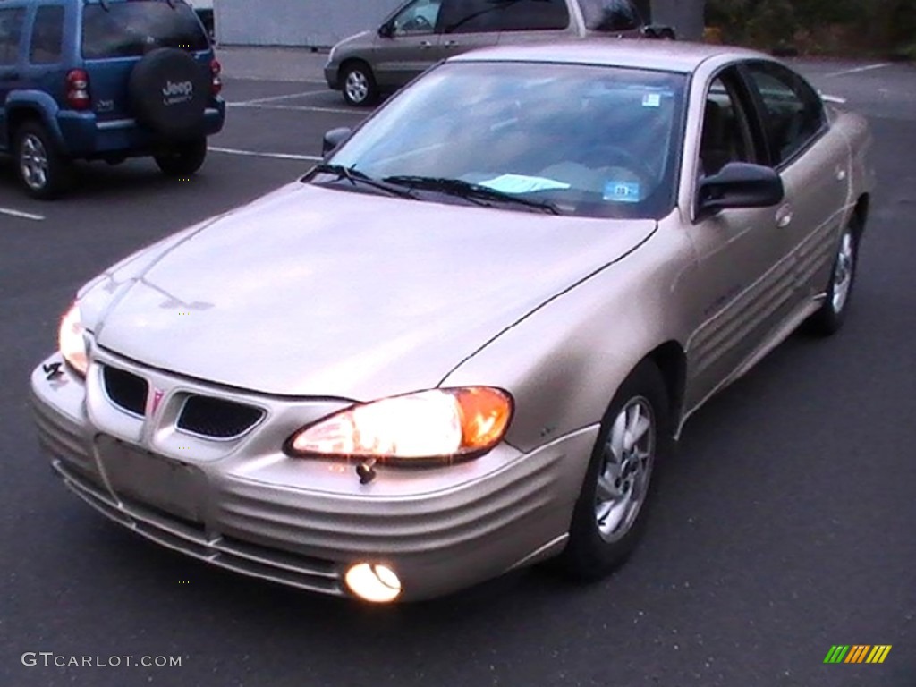 2001 Grand Am SE Sedan - Champagne Beige Metallic / Dark Taupe photo #1